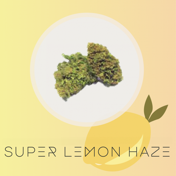 Super Lemon Haze
