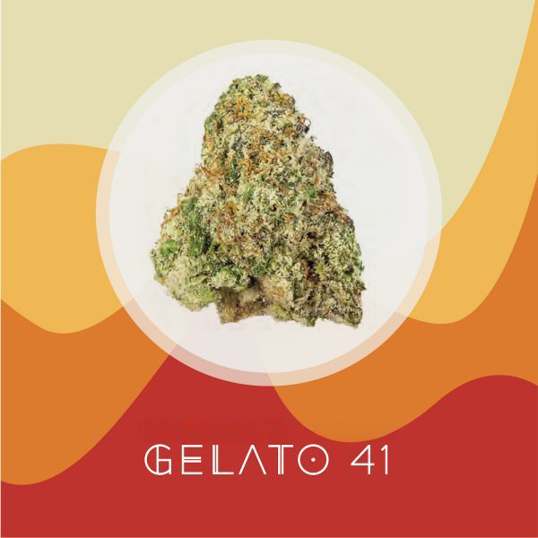 Gelato