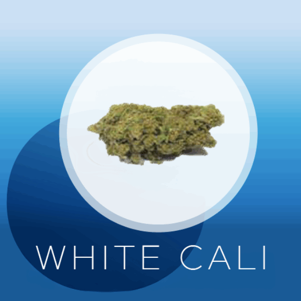 White Cali