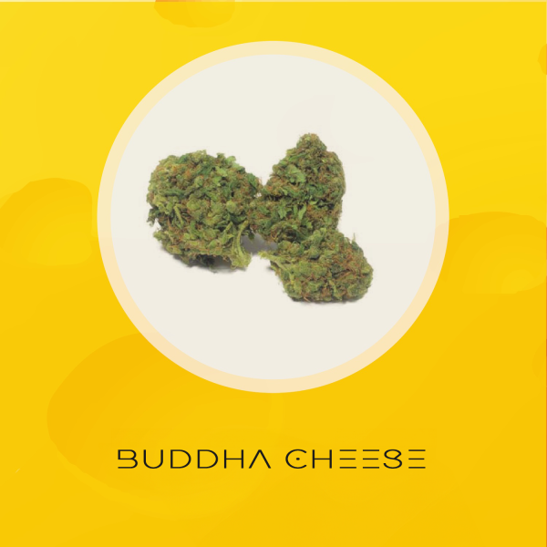 Buddha Cheese