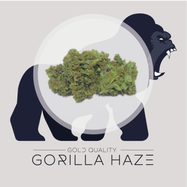 Gorilla Haze