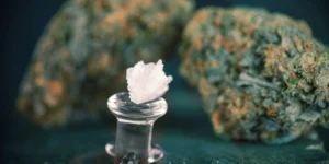 How-To-Dose-CBD-Crystals-Correctly