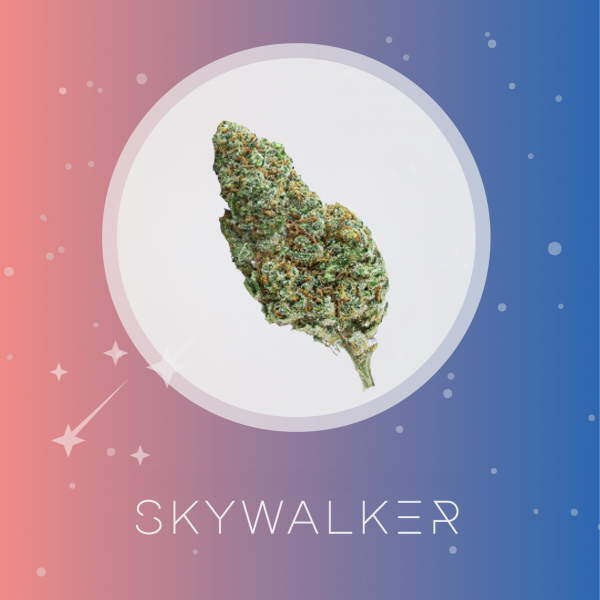 Skywalker