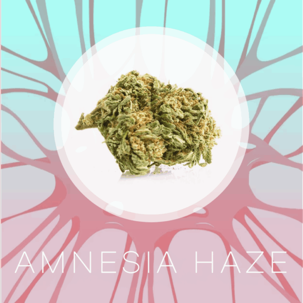 Amnesia Haze