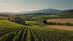 Leonardo_Kino_XL_Italian_farm_land_sunny_day_0