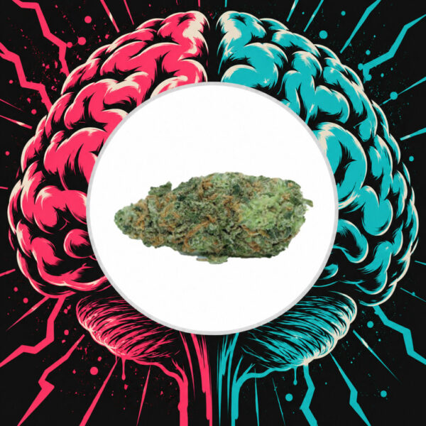 Amnesia Haze
