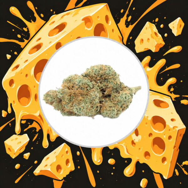 Blue Cheese