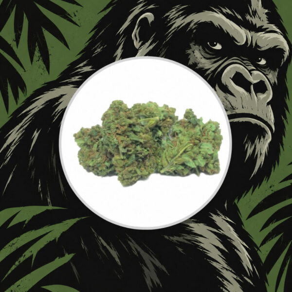 Gorilla Glue